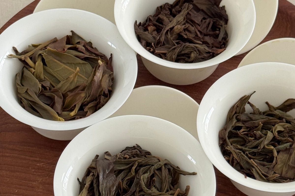Aged Teas YUMM CHA