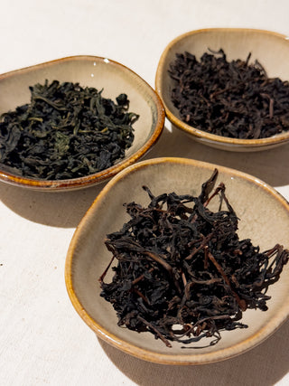 Aged Teas YUMM CHA