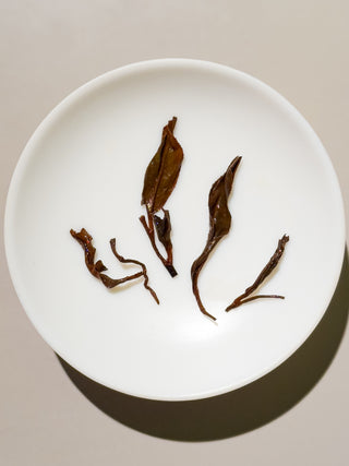 SongJiang Black Tea (Cinesis) Gloden Prize Winner 2023 - YUMM-CHA