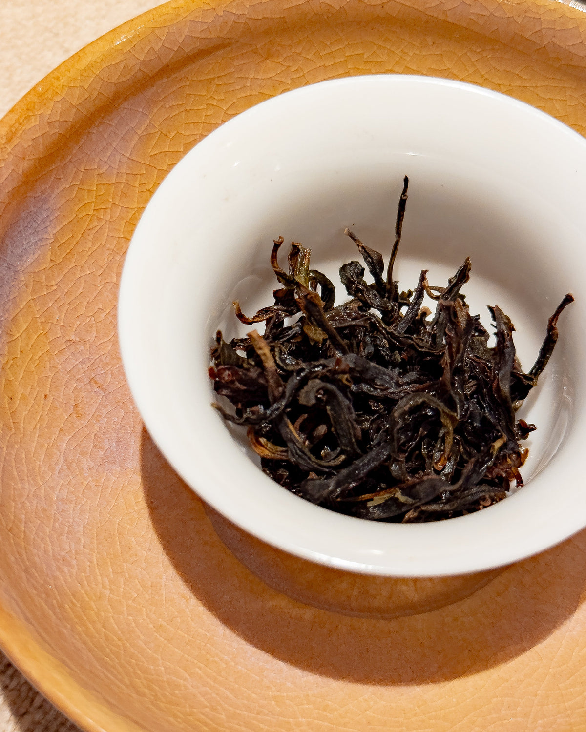 Dancong Oolong | Lao Cong Mi Lan Xiang 2025 老欉蜜蘭香 YUMM CHA