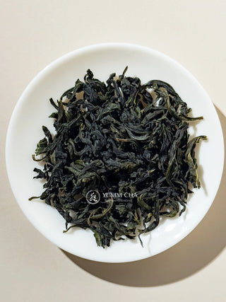 Oolong Tea | 2025 Gold Prize Wenshan Pouchong 金獎文山包種 - YUMM CHA