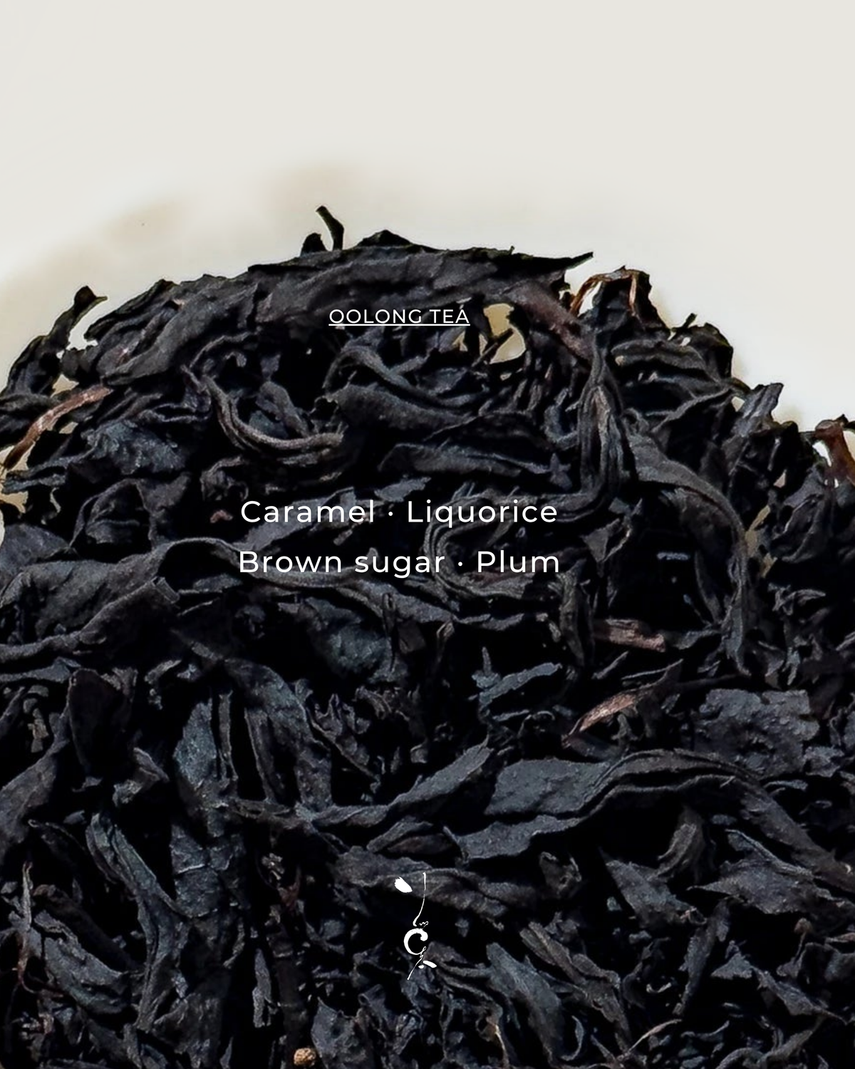Oolong Tea | Sweet Flame Slow-Charcoal-Roasted 甜焱烏龍 — tea sample
