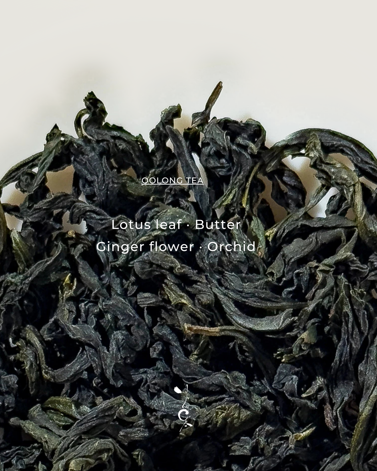 Oolong Tea | 2025 Gold Prize Wenshan Pouchong 金獎文山包種 — tea sample