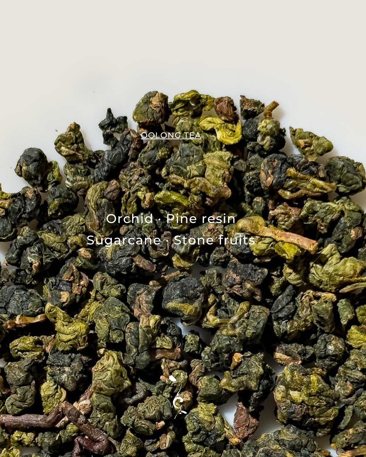 Oolong Tea | Smangus God’s Tea Garden 上帝茶園司馬庫斯 — tea sample