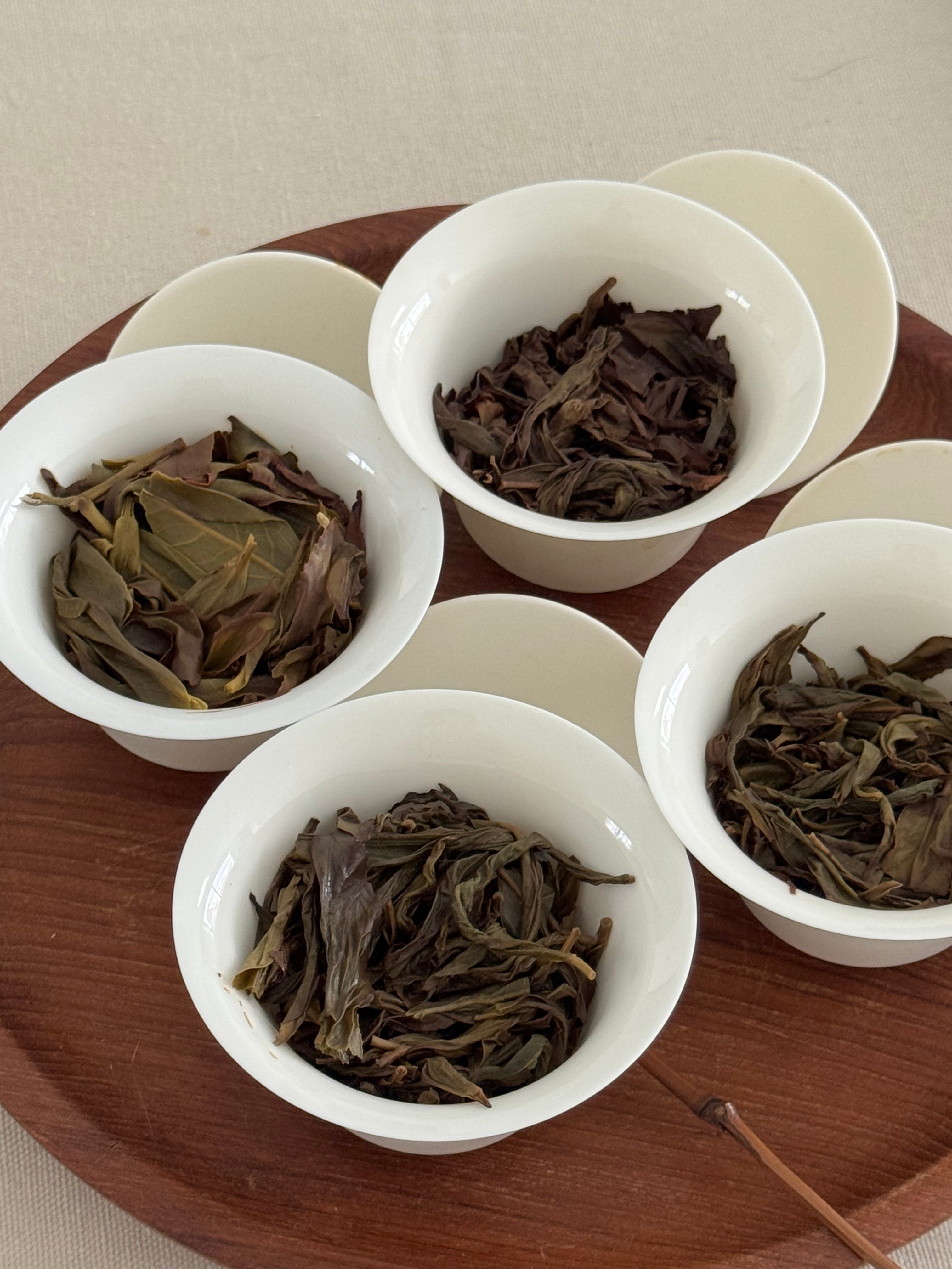 Aged Teas YUMM CHA