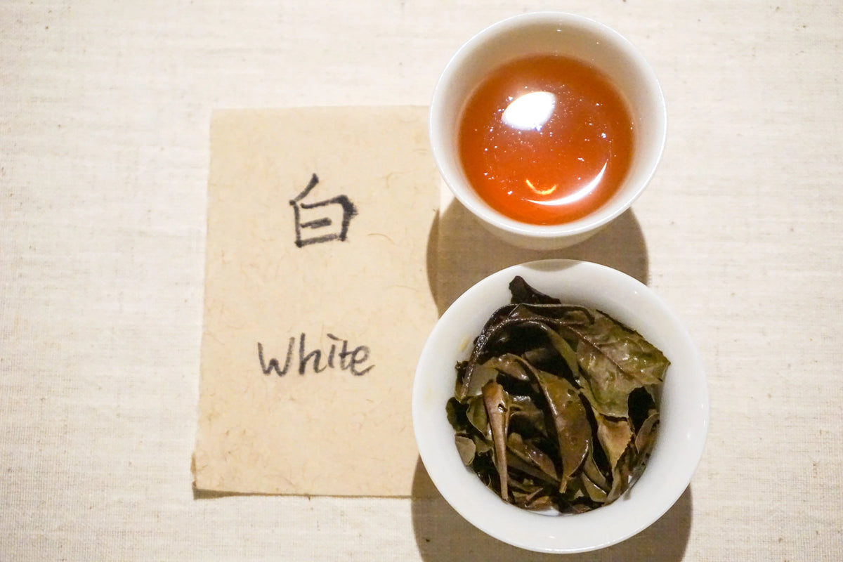 Green and White Teas YUMM CHA