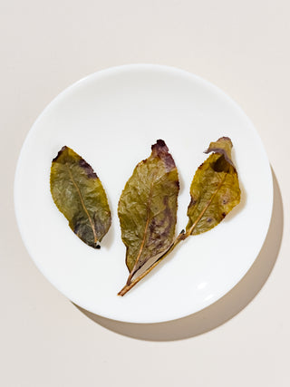Oolong Tea | Lee’s Gui Fei Oolong 李氏貴妃烏龍