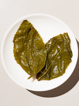 Milky Oolong Tea (Prize Winner) - YUMM-CHA