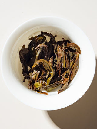Dancong Oolong | Yellow Gardenia (Huang Zhi Xiang) 黃枝香