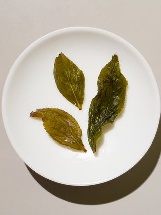 Sijichun Ever Green Oolong Tea - YUMM-CHA