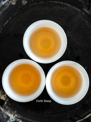 Dancong Oolong | 80-Year-Old Bush Honey Suckle Duck Shit 老叢鴨屎香