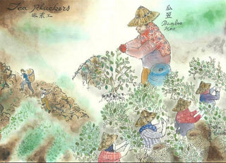 CONNECT | Tea & Sensitive Dialogues with Jack 15:00-16:30