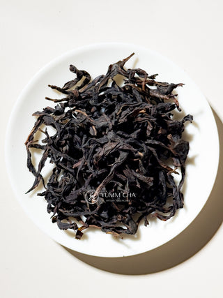 Dancong Oolong | Da’An High-Mountain Orange Blossom 大庵橙花香
