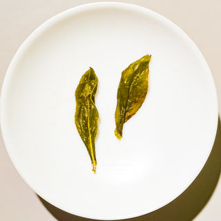 Oolong Tea | Award-Winning Wenshan Pouchong 獲獎文山包種 - YUMM CHA