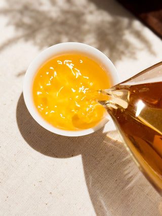 Aged Oolong Tea | 50s Pouchong (60-70 years) - YUMM CHA