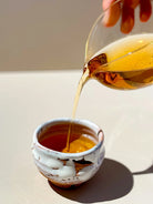 Aged Oolong Tea | Dong Ding 1999 (25 years) - YUMM CHA