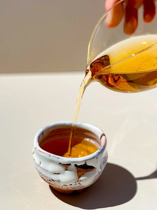 Aged Oolong Tea | Dong Ding 1999 (25 years) - YUMM CHA