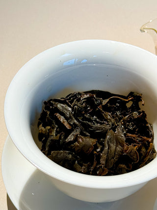 Aged Oolong Tea | Dong Ding 1999 (25 years) - YUMM CHA