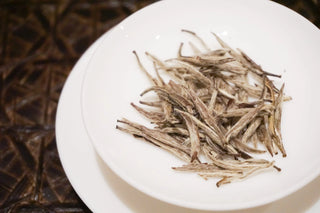Aged White Tea | Silver Needle Bai Hao Yin Zhen 2019 (5 years) - YUMM CHA