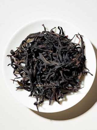 Dancong Oolong | Yellow Gardenia (Huang Zhi Xiang) 黃枝香