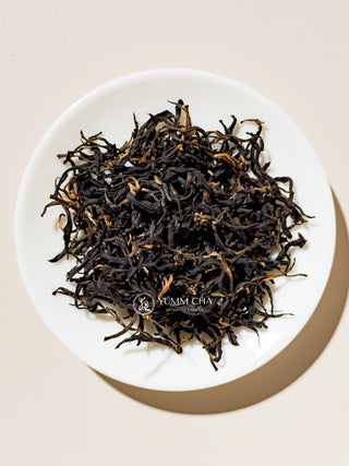Black Tea | Song Hong Small-Leaf (Golden Prize 2024!) 松紅金獎紅茶 - YUMM CHA
