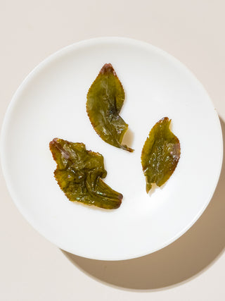Oolong Tea | Four Season Green (Light Sijichun) 四季春 - YUMM CHA