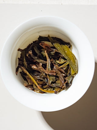 Dancong Oolong | Orchid Blossom 蘭花香