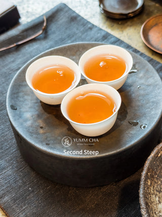 Dancong Oolong | 100-Year-Old Bush Dong Fang Hong (Gardenia) 老欉東方紅 - YUMM CHA