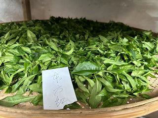 Dancong Oolong | 100-Year-Old Bush Dong Fang Hong (Gardenia) 老欉東方紅 - YUMM CHA