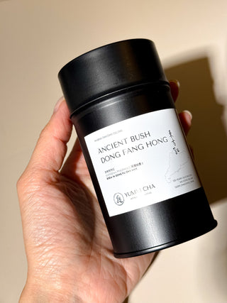 Dancong Oolong | 100-Year-Old Bush Dong Fang Hong (Gardenia) 老欉東方紅 - YUMM CHA