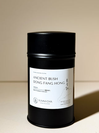 Dancong Oolong | 100-Year-Old Bush Dong Fang Hong (Gardenia) 老欉東方紅 - YUMM CHA