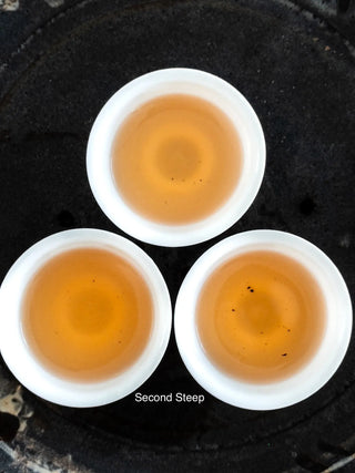 Dancong Oolong | 80-Year-Old Bush Honey Suckle Duck Shit 老叢鴨屎香 - YUMM CHA