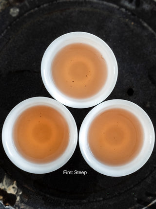 Dancong Oolong | 80-Year-Old Bush Honey Suckle Duck Shit 老叢鴨屎香