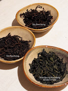 Exclusive Aged Tea Tasting | YUMM CHA x C*SPACE - YUMM CHA
