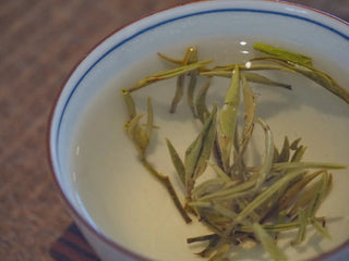 Floral Green Tea | Orchid Snow Pekoe 蘭妃雪芽 - YUMM CHA