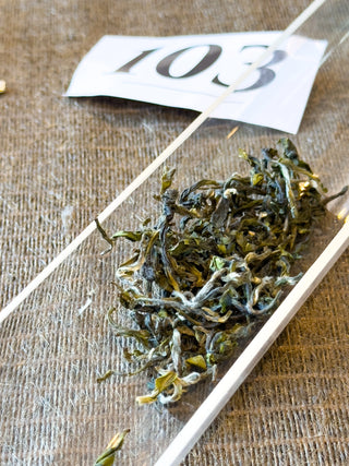 Green Tea | Sanxia Bi Luo Chun (Golden Prize) - YUMM CHA