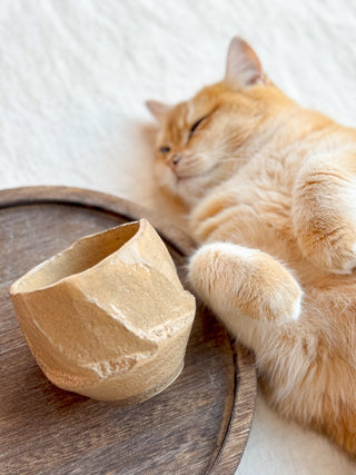 Hagi Ware Biwayu Yunimu Teacup #1 250ml | Eiichi Shibuya - YUMM CHA