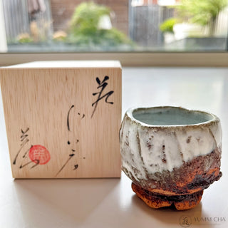 Hagi ware Tea Cup 80ml | Eiichi Shibuya - YUMM-CHA