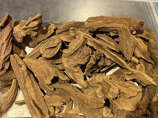 Incense Sticks | Red Soil Oud 惠安紅土沉 | DHARMA JOY - YUMM CHA