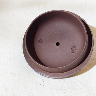 Master-made Yixing Teapot #16 Aged Purple Clay 450ml 國家高級工藝師本人持壺照片及證書 - YUMM CHA