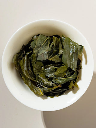 Oolong Tea | 2025 Gold Prize Wenshan Pouchong 金獎文山包種 - YUMM CHA