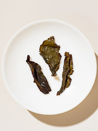 Oolong Tea | Four Season Green (Signature Roasted Sijichun) 濃香四季春 - YUMM CHA