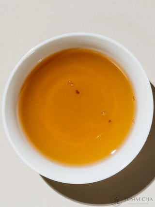 Oolong Tea | Four Season Green (Signature Roasted Sijichun) 濃香四季春 - YUMM CHA