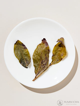 Oolong Tea | Lee’s Gui Fei Oolong (Honey Duchess) 李氏貴妃 - YUMM CHA