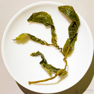 Oolong Tea | Lishan Milky Oolong (Master Made) 1800m 梨山金萱 - YUMM CHA