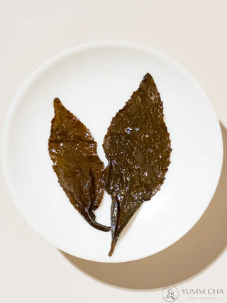 Oolong Tea | Muzha Golden Iron Goddess Huang Jin Gui 黃金桂鐵觀音 - YUMM CHA