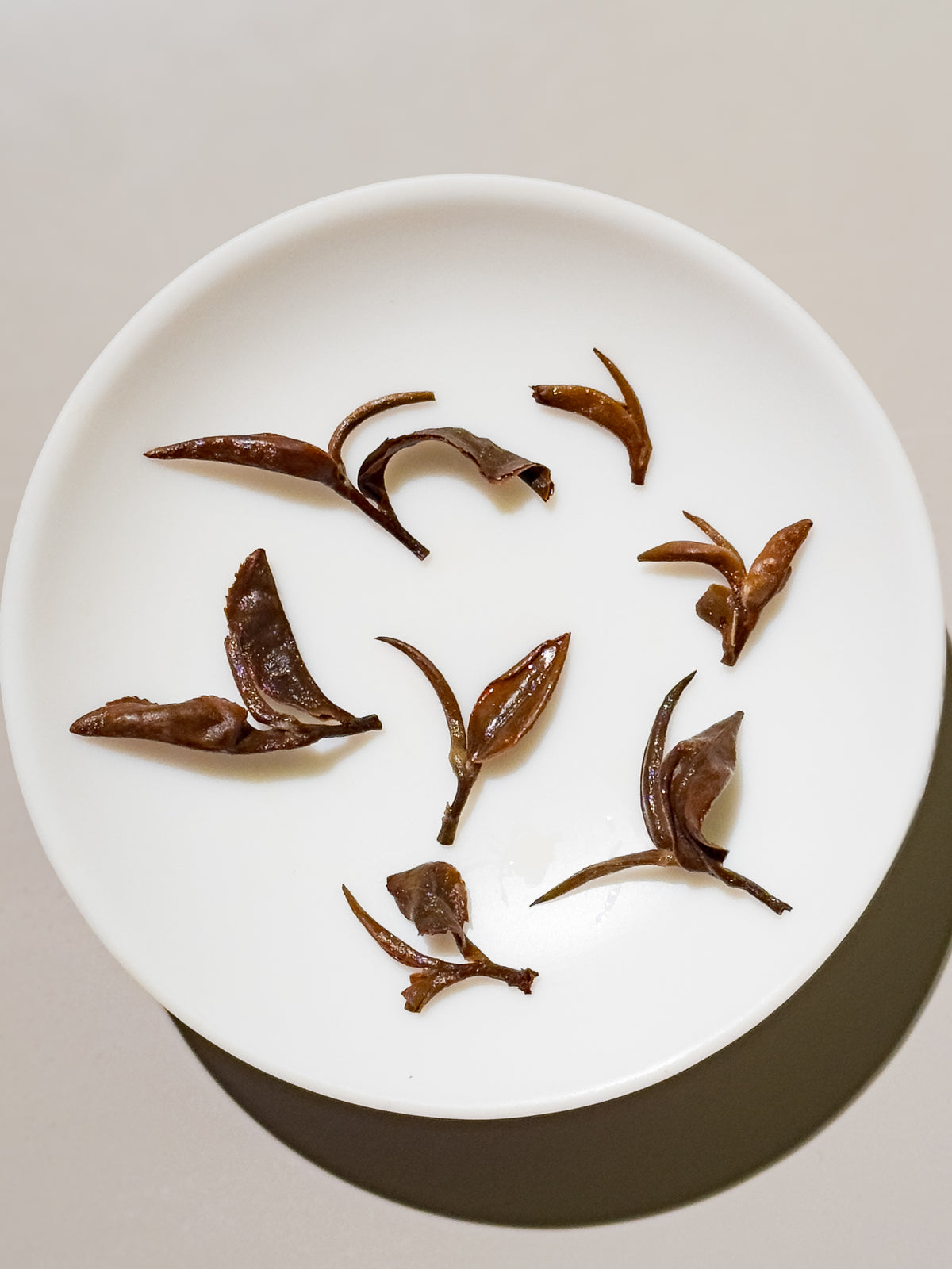 Oriental Beauty - Dong Fang Mei Ren Oolong Tea 5 Stars - YUMM-CHA