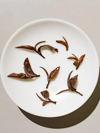 Oriental Beauty - Dong Fang Mei Ren Oolong Tea 5 Stars - YUMM-CHA