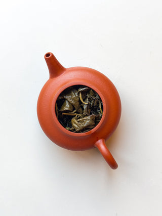 Oolong Tea | Traditional Dong Ding (Master Made) 鎮店凍頂 - YUMM CHA