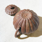Taiwan Rock Mine Teapot (3 times fired) 陶作坊 150ml - YUMM CHA